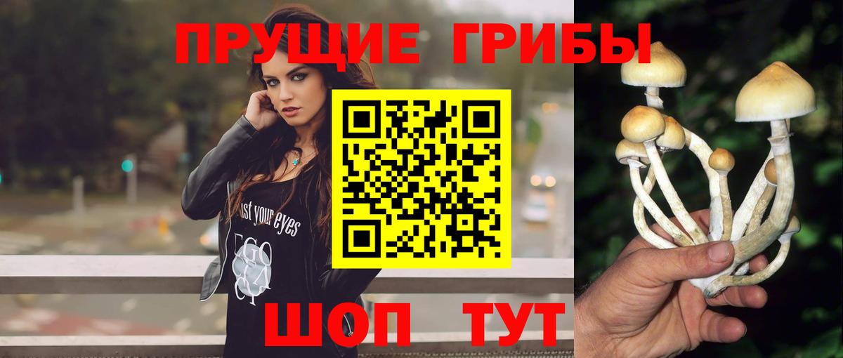 где продают   Псилоцибиновые грибы мухоморы  Вход с VPN  Сунжа 